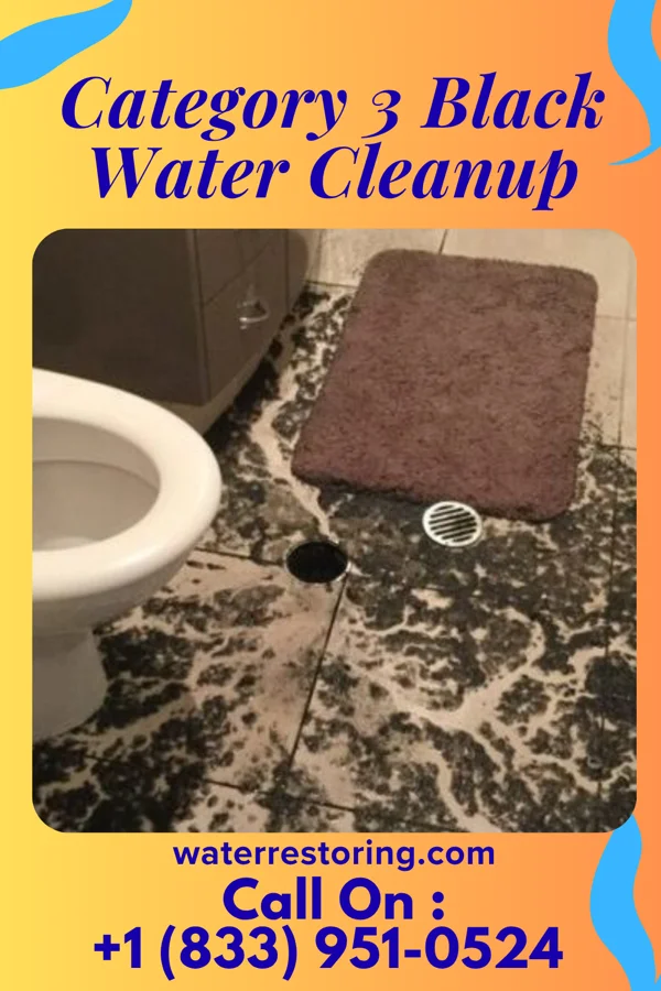 Category 3 Black Water Cleanup in White Plains, GA