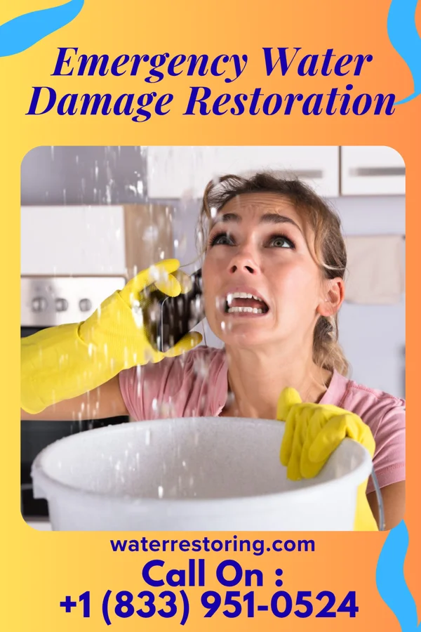 Emergency Water Damage Restoration in White Plains, GA