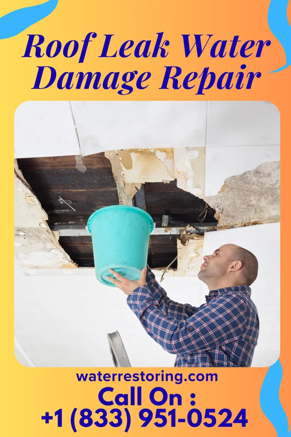 Roof Leak Water Damage Repair in White Plains, GA